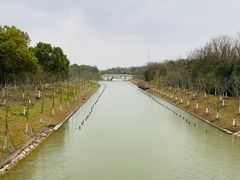 -上海海湾国家森林公园