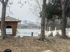 -武汉动物园