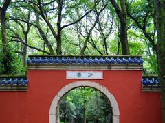 -灵谷景区