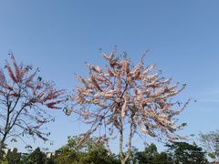 -白石龙音乐公园