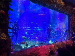 -沈阳海洋探索中心