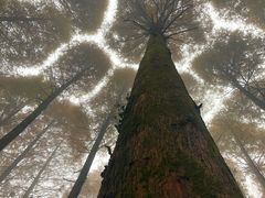 -山王坪喀斯特国家生态公园