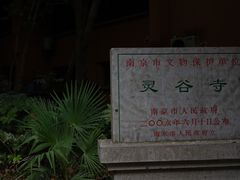 -灵谷景区