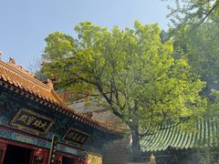 -千佛山风景名胜区