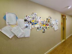 -海豚湾高端月子会所(黄浦店)