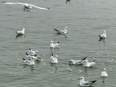 -云龙湖旅游景区