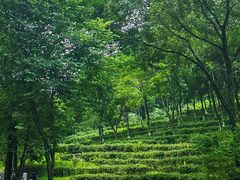 -广州市白云山风景名胜区
