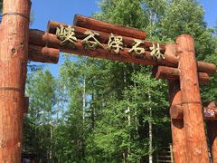 -峡谷浮石林景区