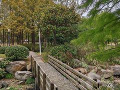 -宝界山林公园