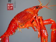 -茸梅路右拐龙虾-农家菜(松江店)