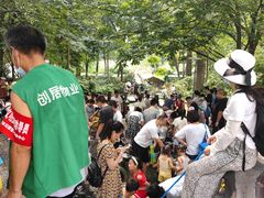 -成都市活水公园