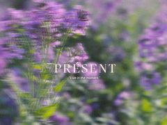 -荷兰花海