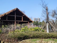 -东湖生态旅游风景区
