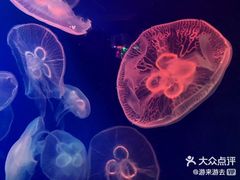 -成都浩海立方海洋公园