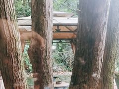 -天怡·鱼工厂(梅溪湖店)