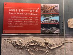 -大连自然博物馆