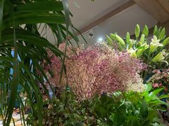 -春暖花开(西溪店)