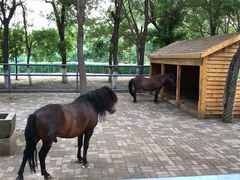 -长白岛森林公园