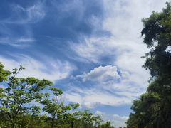-沈阳森林动物园