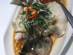 -至潮餐厅精致粤菜·活鲈鱼·走地鸡(珠江新城店)