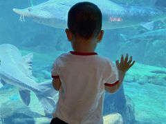 -华夏文旅海洋公园