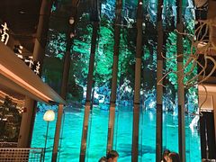 -桂满陇·海市蜃楼·黑金(国金店)