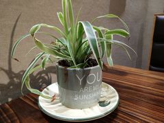 -兄弟宁乡龙城(麓景路店)