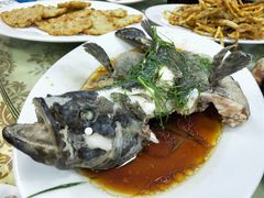 清蒸斑鱼-红海湾豪记海鲜大排档