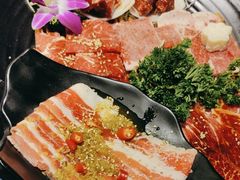 -猫爪爪原切自助烤肉(观音桥阳光世纪店)