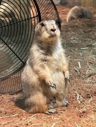 -Zoolung Zoolung动物主题公园(海信广场店)