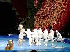 -珠海横琴长隆《卡卡虎奇遇记》