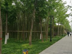-唐城墙遗址公园