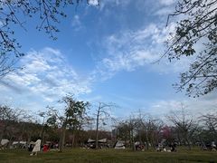 -风云岭森林公园