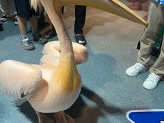 -海合安武汉极地海洋公园