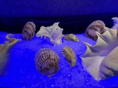 -亚特兰蒂斯•OSSIANO奥西亚诺海底餐厅