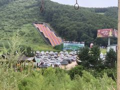 -莲花山花海