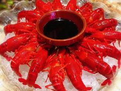 葵花冰镇虾-江味龙虾馆·裸蓝龙虾(南山店)
