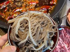 -阳阳老火锅(小南门店)