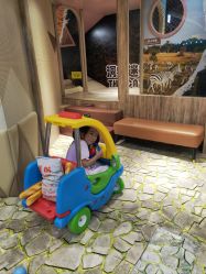 -卡通尼·Safari非洲探索乐园·生日会(金桥国际商业广场店)