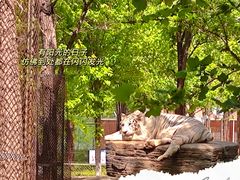 -秦皇岛野生动物园