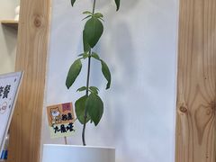 -呷贺盐酥鸡(抄纸巷店)