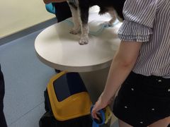 -奈斯宠物医院·核磁CT·异宠专科·内镜(中南店)