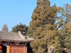 -香山公园