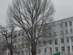 -圣·阿列克谢耶夫教堂