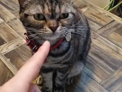 -小时光咖啡馆(北锣鼓巷店)