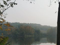 -重庆园博园