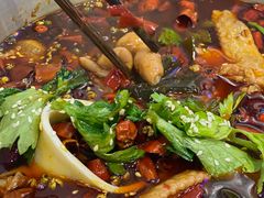-晓彭肥肠鸡·泡椒鸡火锅(水木天地店)