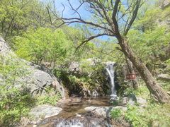 -灵山