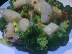 -糖朝(尖沙咀店)