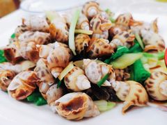 盐水花螺-沈家门小海鲜